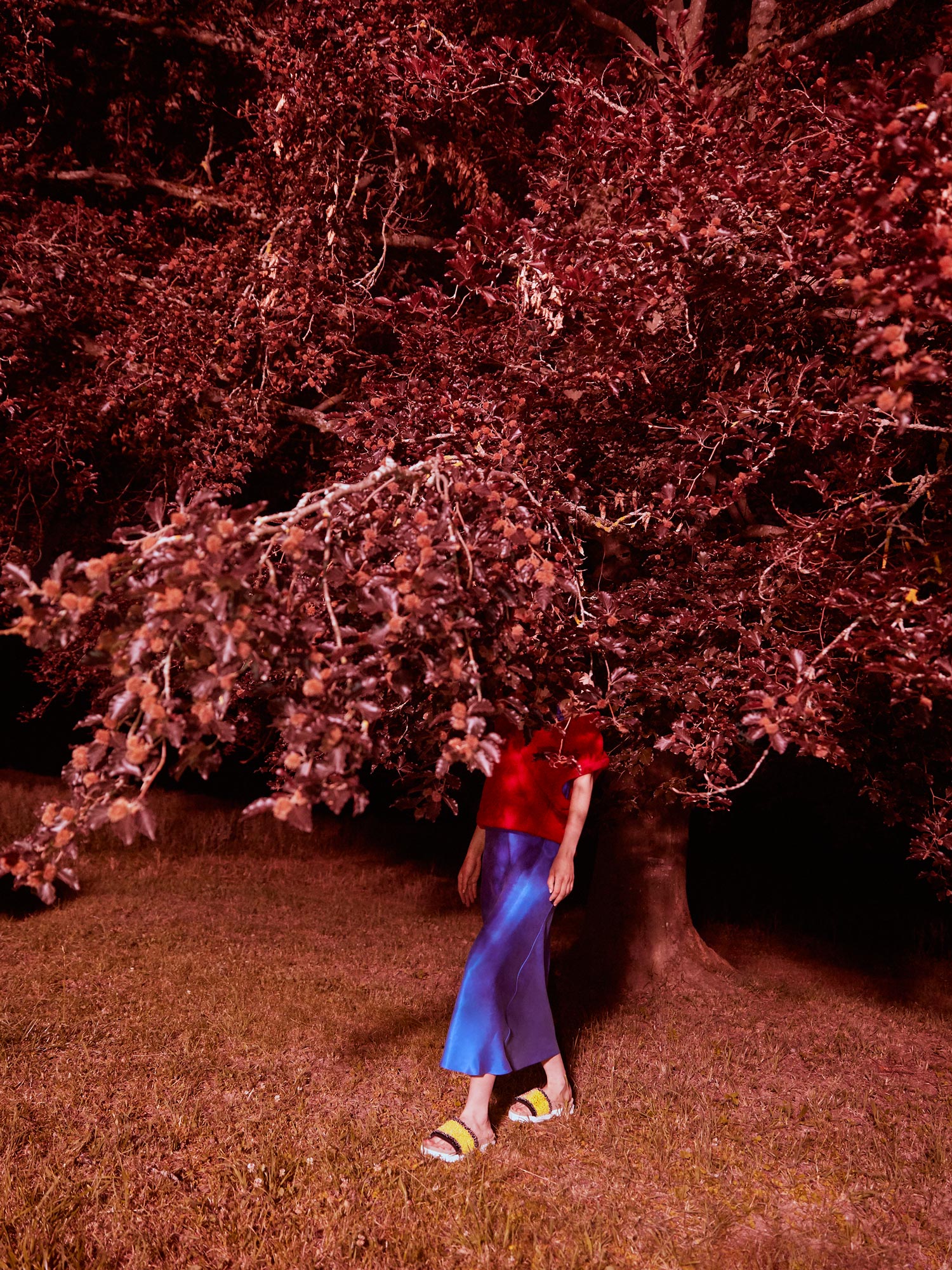 Indian Summer / Micha Freutel